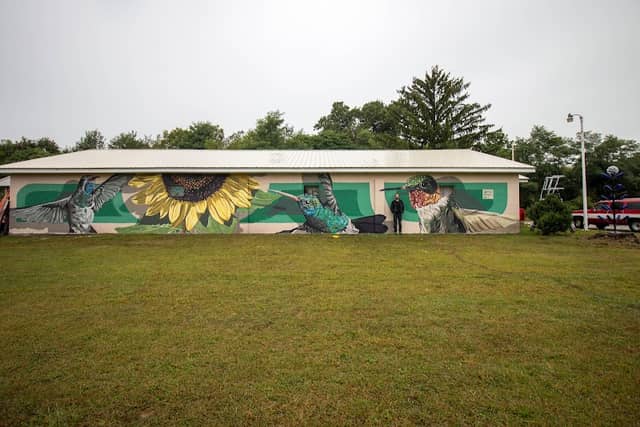 Sunny Days Mural - @AnthonyBrooksArt - Image 1
