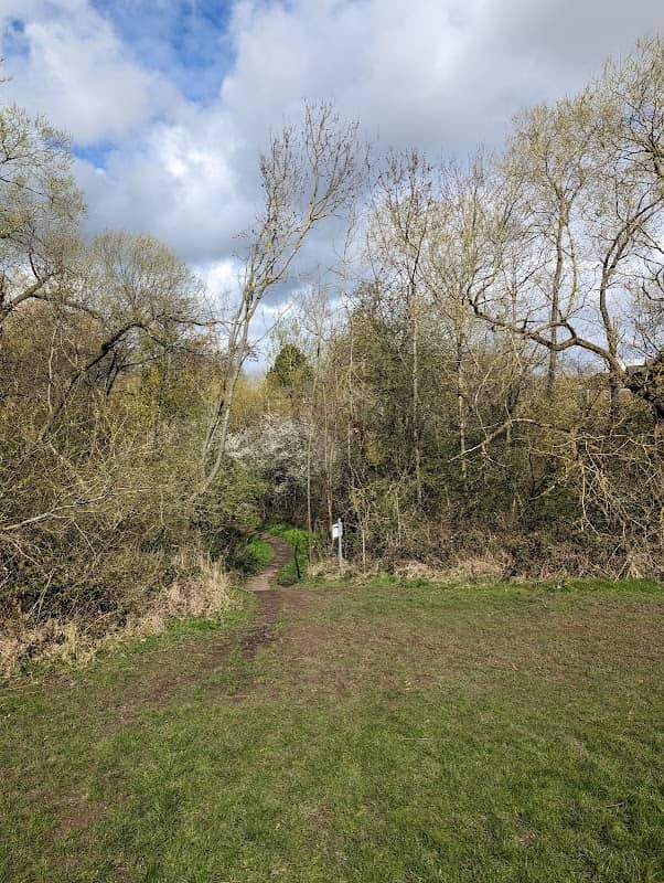 Elm Tree Woodland & Walkway - Image 1