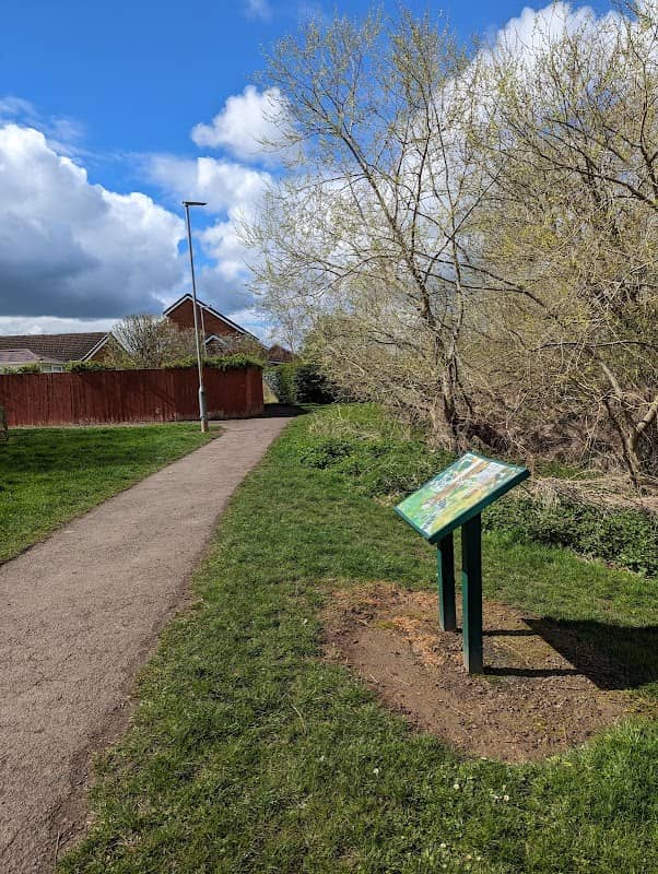 Elm Tree Woodland & Walkway - Image 2