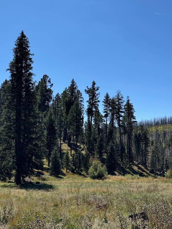Hospital Flat Campground - Image 1
