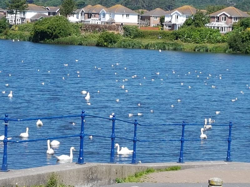 Sandy Water Park - Image 1