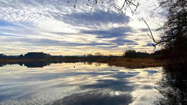 Kreuzweiher-Langensee - Image 1