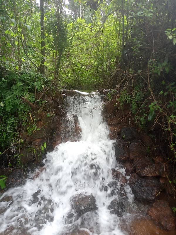 Spring Valley - Image 1