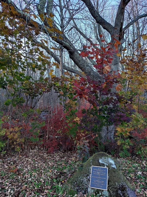 Dow Park - Image 1