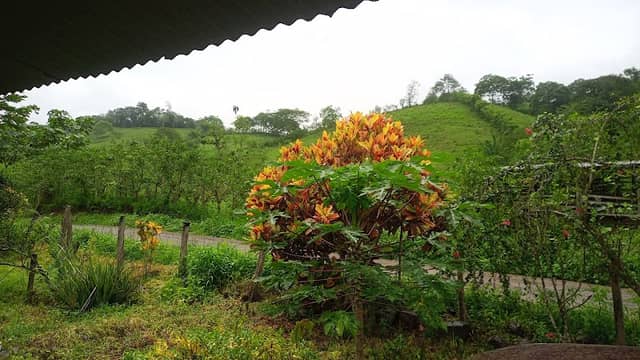 Hacienda La Furia - Image 2