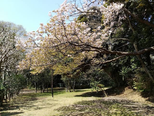 Mejiroyama Park - Image 2