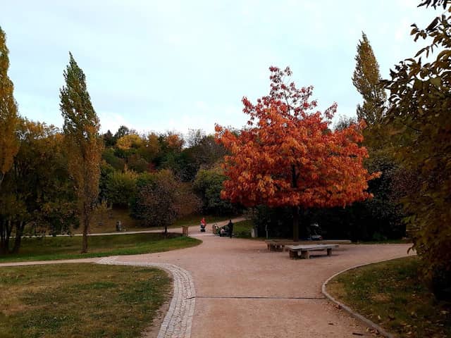 Sítenské údolí - Image 3