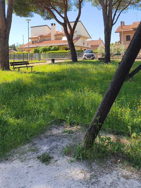 Parchetto magico - Image 1