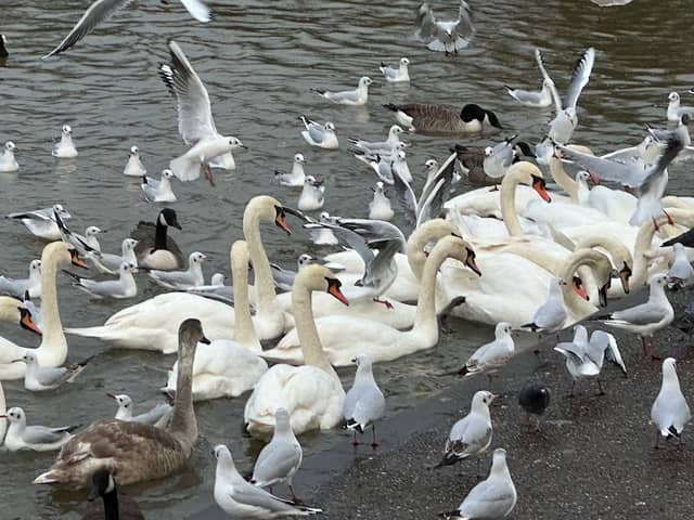 River Thames Windsor - Image 1