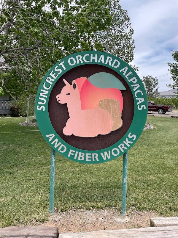 Suncrest Orchard Alpacas and Fiber Works - Image 1