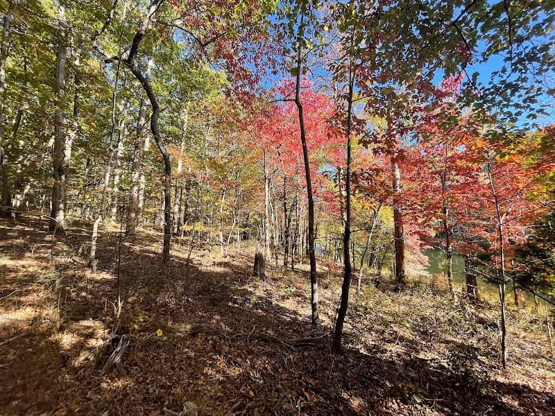 Montgomery Bell Trailhead - Image 1