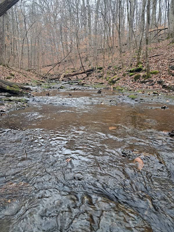 Montgomery Bell Trailhead - Image 2