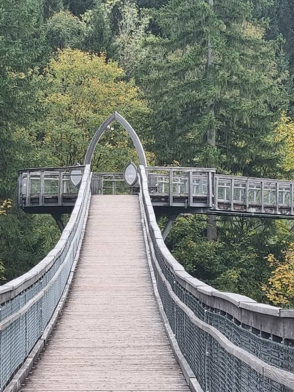 Hängebrücke Doren-Sulzberg - Image 1