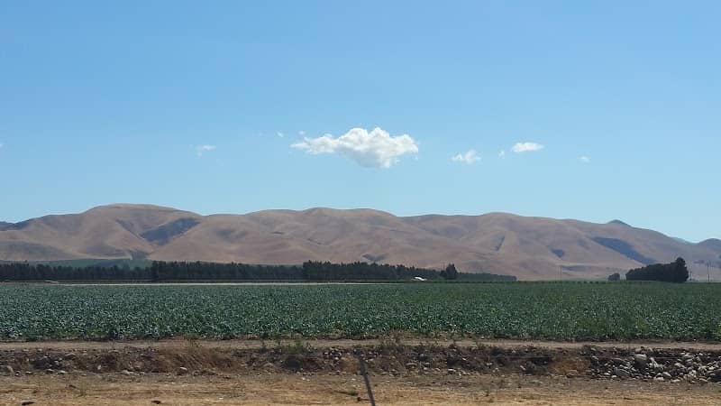 Apricot Park - Image 1