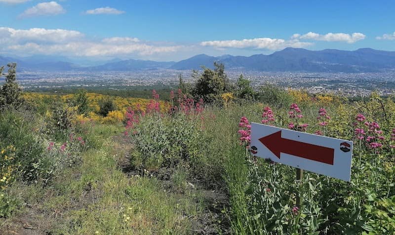 Parco Nazionale del Vesuvio - Image 1