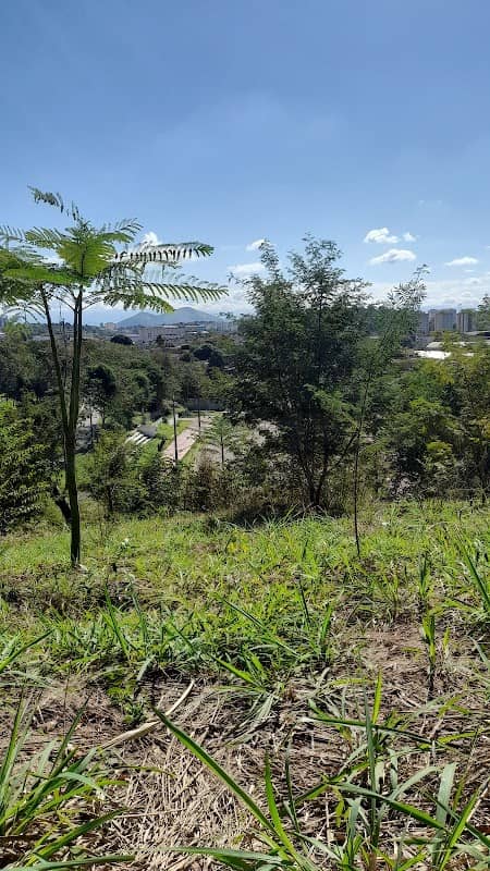 Parque Do Colubandê - Image 1