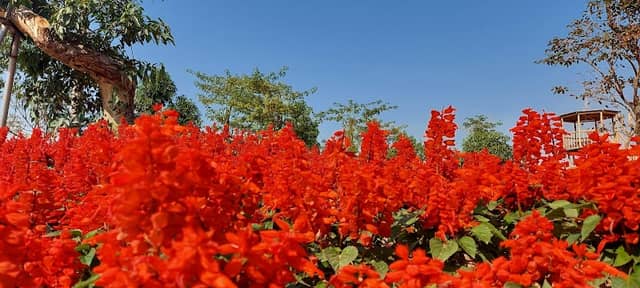 Công viên văn hóa Làng Việt Đầm Trành - Image 1