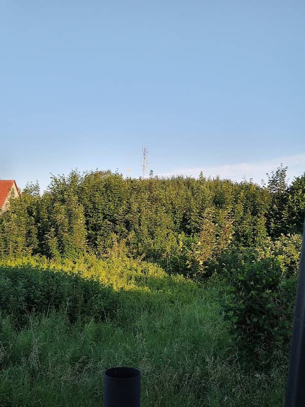 Wasserburger Berg - Image 2