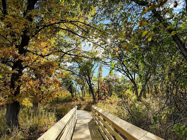 Ivanhoe South Nature Preserve / Shirley Heinze Land Trust - Image 2