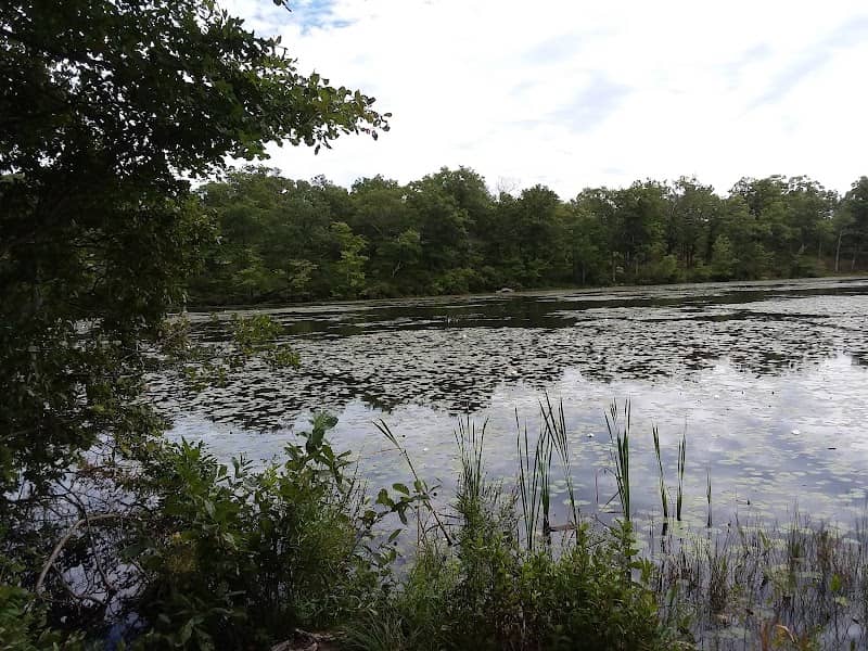 Thirty Acre Pond DW Park - Image 3