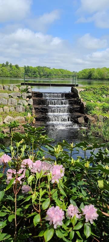 Thirty Acre Pond DW Park - Image 2