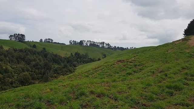 Korito - Image 1