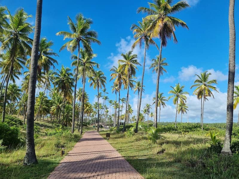 Praia do Palladium - Image 1