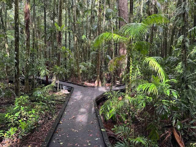 Protesters Falls walking track - Image 2
