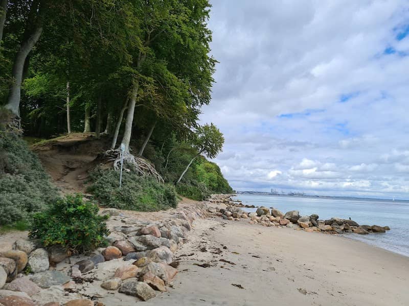 Gyngetræ ud over havet - Image 1