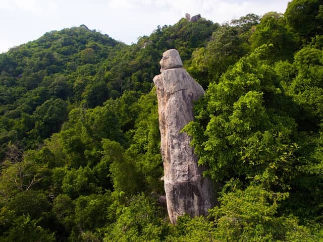 Giant Island Guard - Image 1