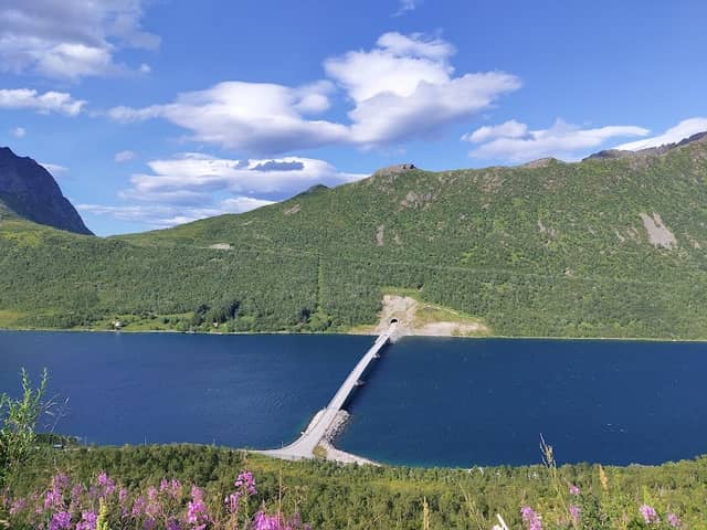 Gryllefjord observasjonskurve - Image 1