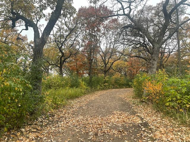 Anoka Nature Preserve - Image 1