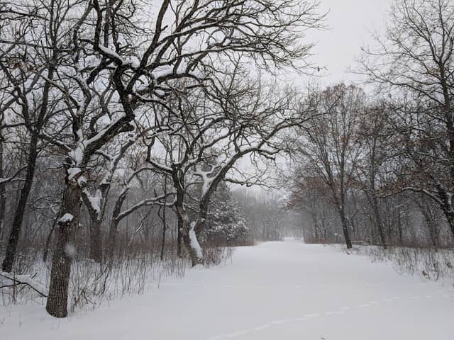 Anoka Nature Preserve - Image 2