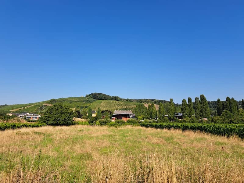 Wintranger Aussichtspunkt - Image 1