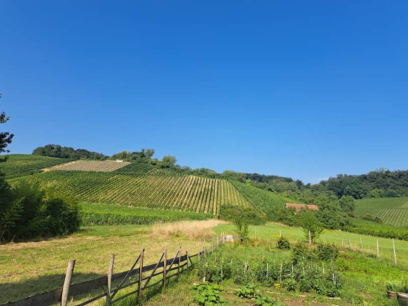 Wintranger Aussichtspunkt - Image 2