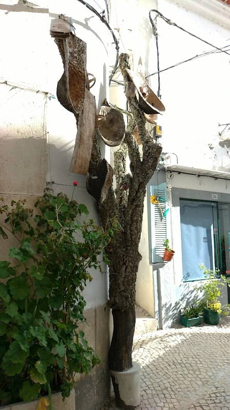 Árvore dos conchos - Image 1