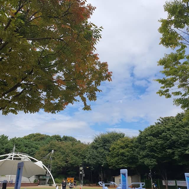 수진공원 - Image 1