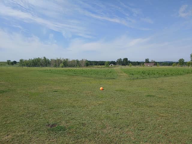 Lakes Area Dog Park - Image 1