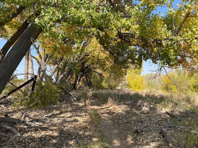 Island Park - Image 1