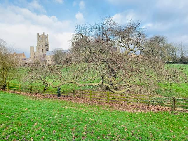 Cherry Hill Park - Image 1