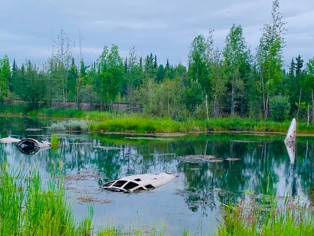 The Lady of the Lake - Image 2