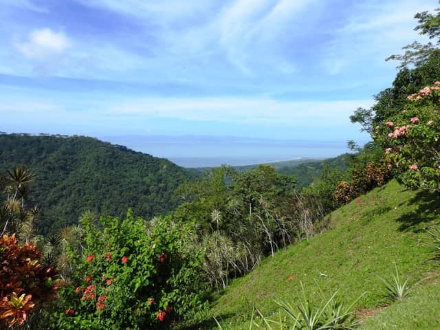 Pura Vida Gardens And Waterfall - Image 2