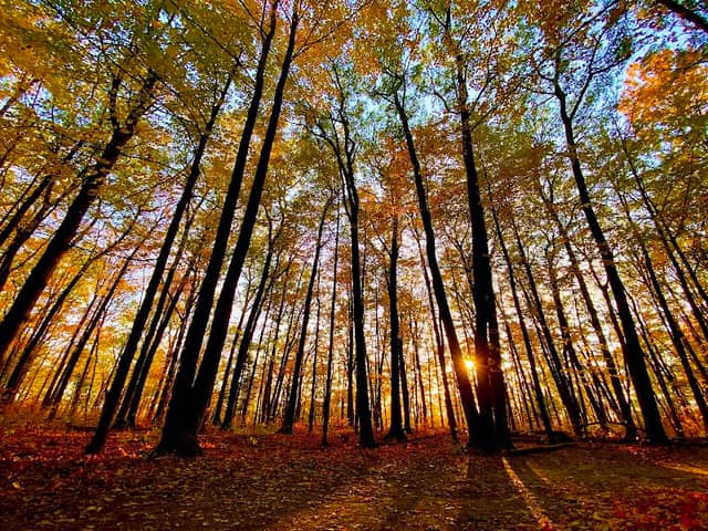 Rouge National Urban Park - Image 2