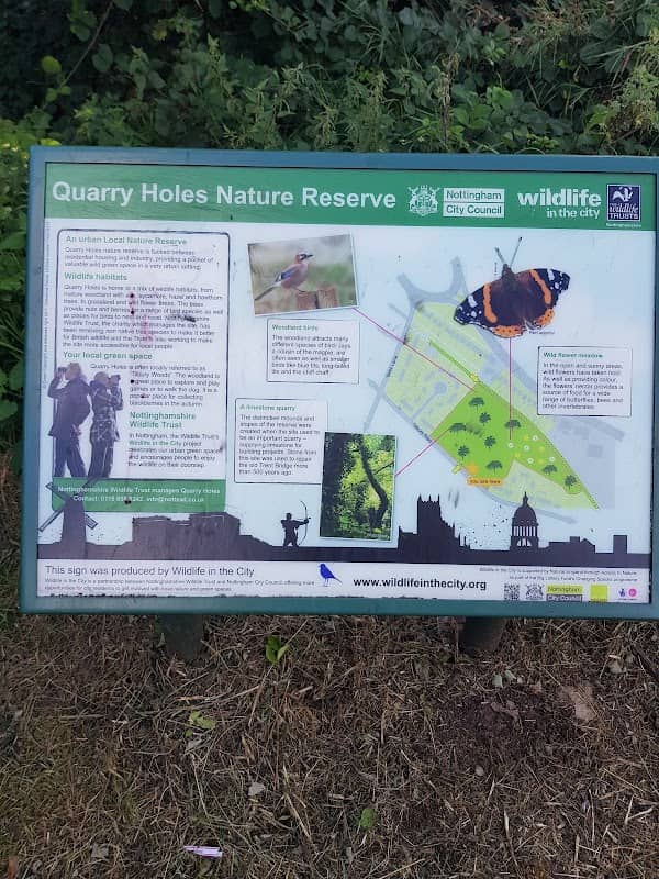 Quarry Holes Nature Reserve - Image 1