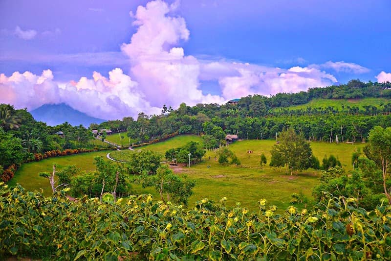 Kawa Kawa Hill - Image 1