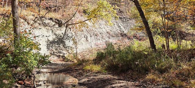 Catlin Park - Image 2