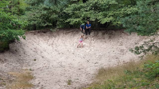Zandkruispunt beerze bos - Image 1