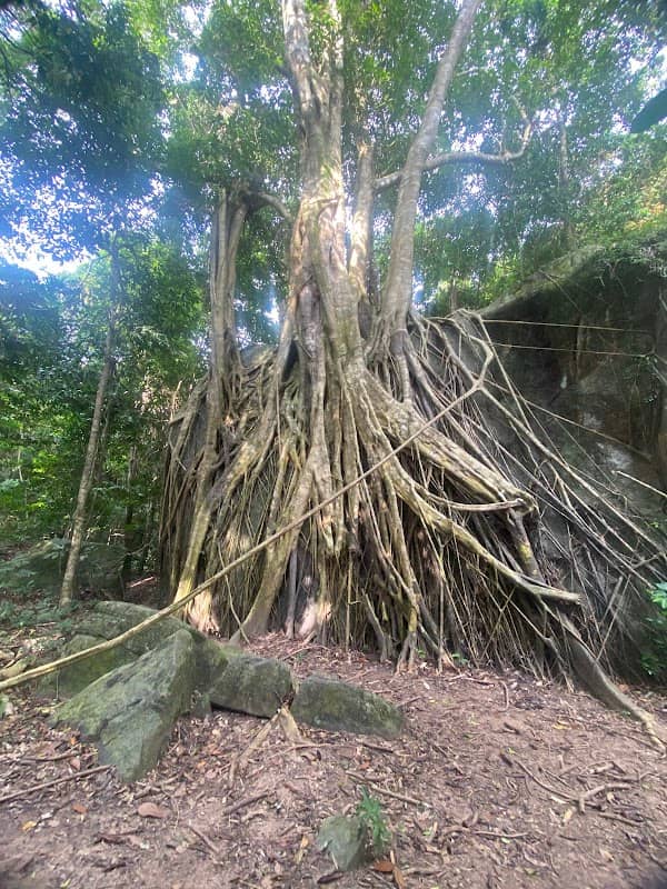 Đường Tiên Sơn Đỉnh - Image 1