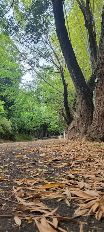 緑地公園駅 - Image 1