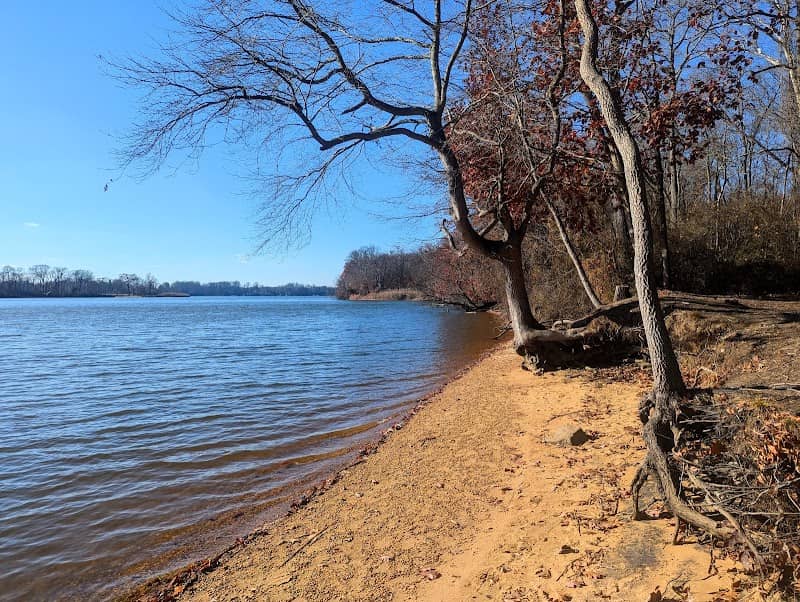 Bohemia River State Park - Image 1